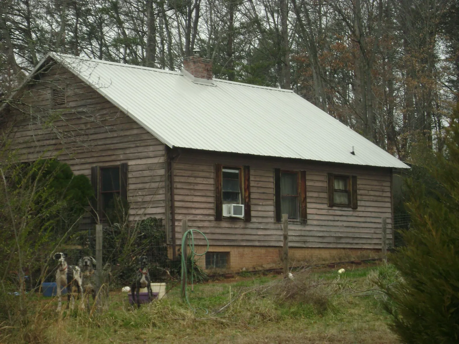 White metal roof on an old wood sided farmhouse, from a Metal Roof Installation job in Cammal
